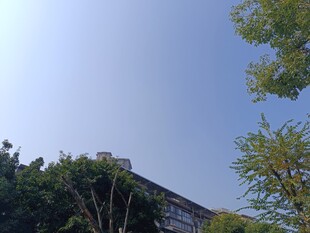 蓝天绿树间的建筑一角