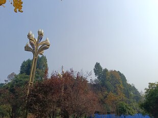 山林中的独特雕塑景观