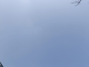 天空中飞翔的一只飞鸟