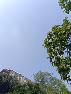 绿树掩映下的建筑一角