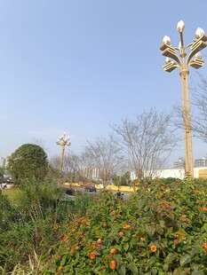 户外景观灯与绿植一角