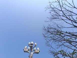 蓝天映衬下的独特路灯