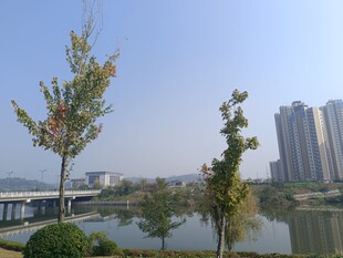 湖畔城市风光美景