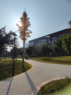 校园阳光小路与建筑景观