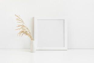 简约白框旁的干花装饰
