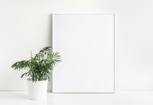 空白画框旁的绿植摆件