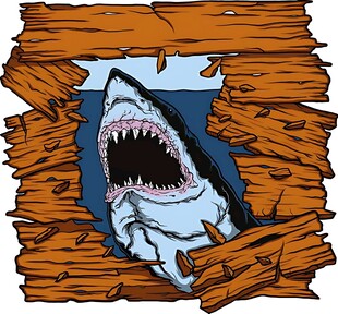 破木板后的凶猛鲨鱼