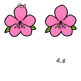 两朵粉色花朵插画