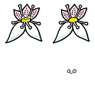 手绘花朵图案设计元素