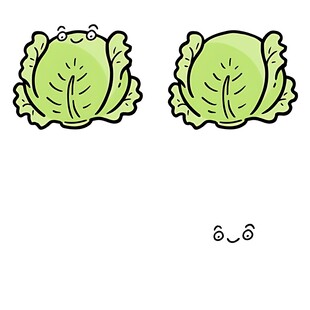 可爱卡通卷心菜插画