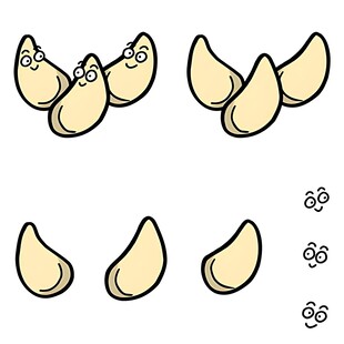 大蒜蒜瓣分解图示
