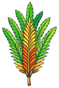 多彩羽状叶片插画