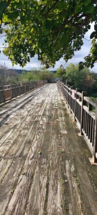 乡间木栈道自然好风光