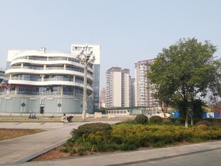 城市中的现代建筑与绿植