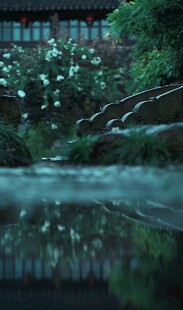 静谧溪流旁的绿意景致