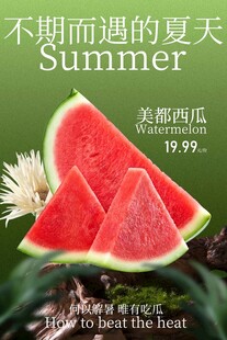 邂逅夏日西瓜美味宣传海报