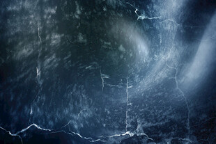 神秘深邃的森林光影世界