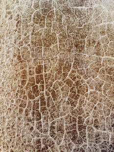 粗糙裂纹纹理背景图