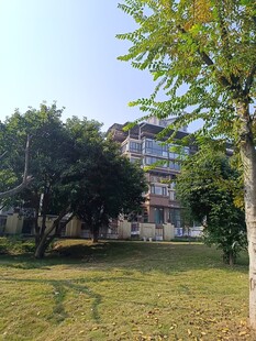 秋日校园草地与建筑景观