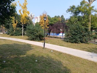 秋日公园小径风景