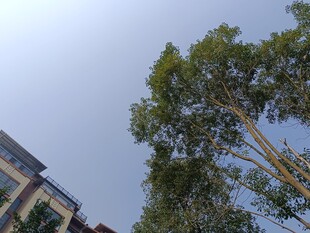 蓝天绿树旁的建筑景观