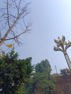 户外雕塑与绿植景观