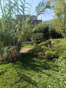 绿意盎然的户外自然景致