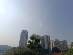 城市高楼与绿植景观