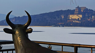 湖畔牛雕塑与远处景致