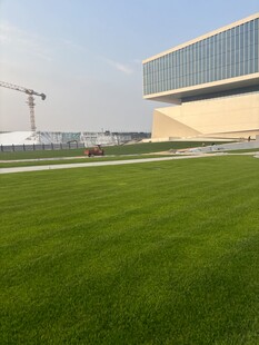 现代建筑旁的翠绿草坪