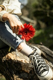 脚边红花朵的惬意瞬间