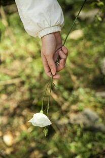 手拈白花于绿意间