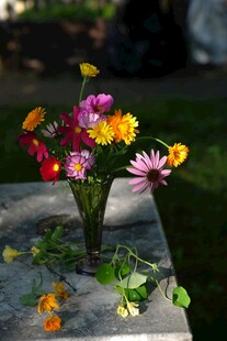 花瓶中的多彩鲜花