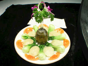 创意蔬菜摆盘造型