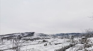冬日雪景中的开阔山野