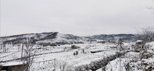 冬日雪景中的开阔场地
