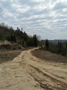 荒野土路自然风景初览