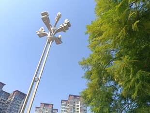 城市高杆灯与绿树蓝天