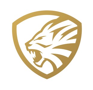 金色狮头盾牌标志图案