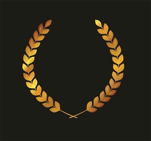 金色麦穗花环图标