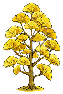 金色银杏树插画