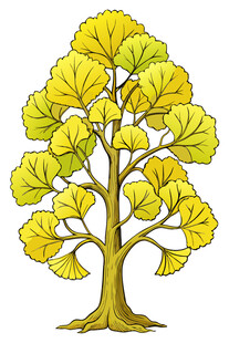 金黄银杏树插画