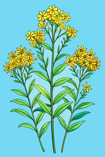 蓝色背景下的黄色花卉植物