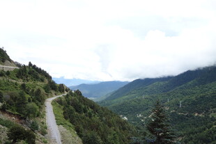 山间蜿蜒公路 绿意盎然