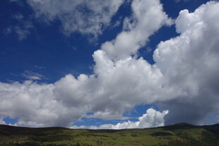 蓝天白云下的广袤原野