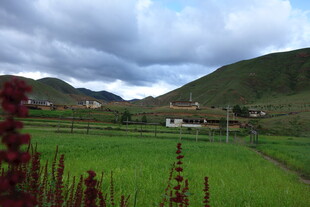 田园风光中的宁静村落