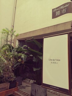 室内绿植与简约装饰场景