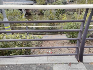 户外金属栏杆与绿植景观