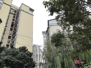 小区周边的高楼与绿植