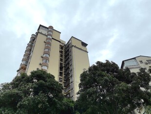 高层住宅与周边绿植景观